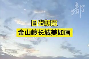 betway官网 官方体育平台截图2